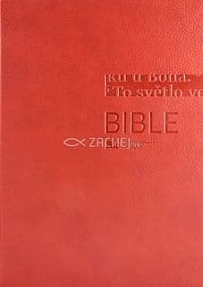 Bible (katal. čís. 1170)