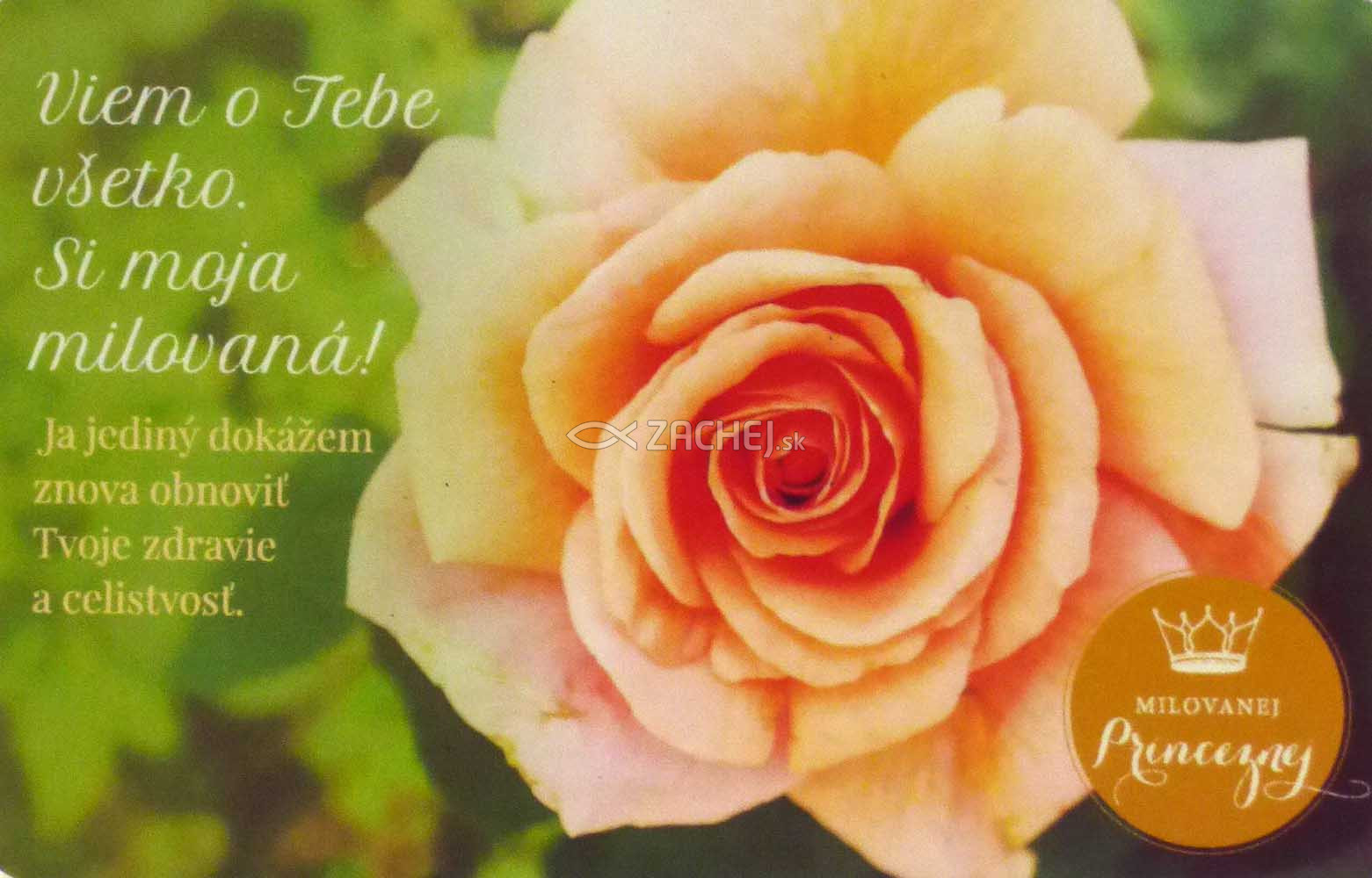 Magnetka (Milovanej Princeznej) - Milovaná | 2,43 € - obrázok Magnetka (Milovanej Princeznej) - Milovaná