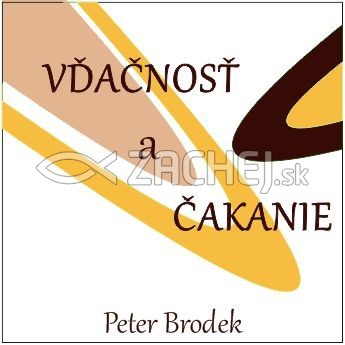 CD - Vďačnosť a čakanie | Peter Brodek | 6,79 € - obrázok CD - Vďačnosť a čakanie