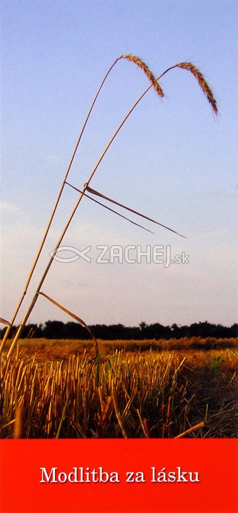 Modlitba za lásku (záložka) - kartónová záložka s modlitbou | 0,19 € - obrázok Modlitba za lásku (záložka) - kartónová záložka s modlitbou