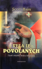 Veľa je povolaných - Opäť objaviť krásu kňazstva