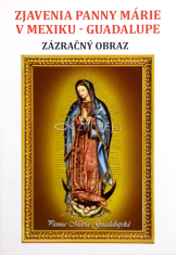 Zjavenia Panny Márie v Mexiku - Guadalupe - Zázračný obraz