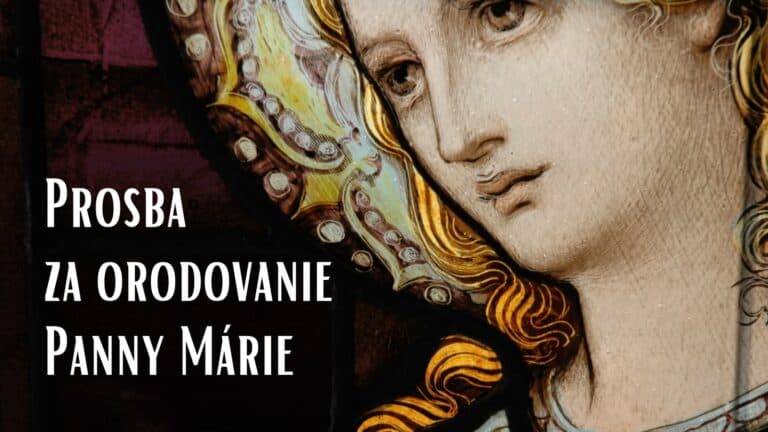 Prosba za orodovanie Panny Márie