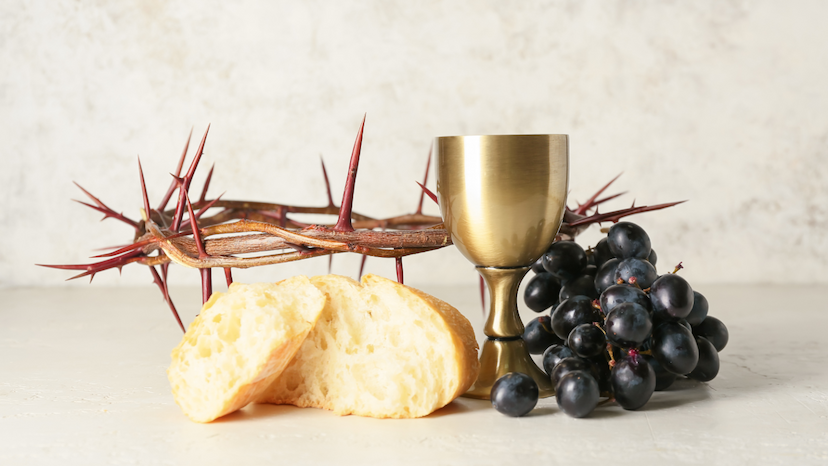 Modlitba k Ježišovi, pravému viniču