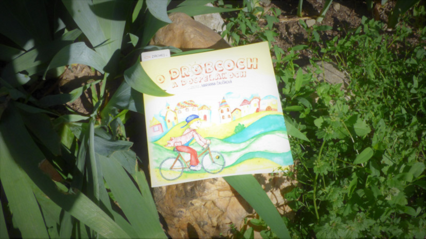 Marianna Čaučíková: O drobcoch a dospelákoch (recenzia)