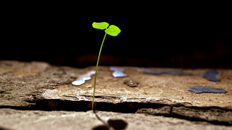 Zázrak Božieho milosrdenstva