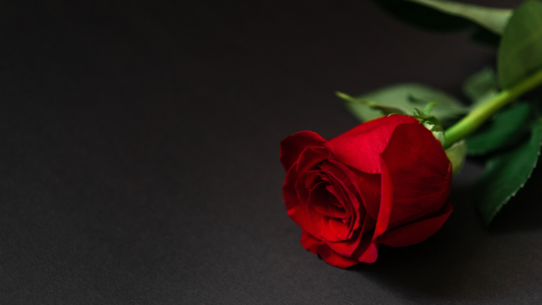 Sedem zákonov lásky podľa arcibiskupa Fultona Sheena