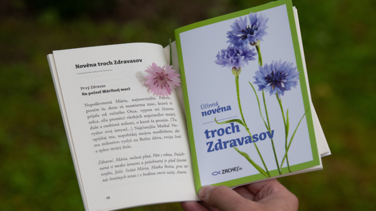 Vyproste si účinnú pomoc od Panny Márie