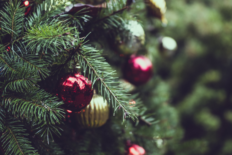 Prečo pápež Ján Pavol II. začal tradíciu vatikánskeho vianočného stromčeka?