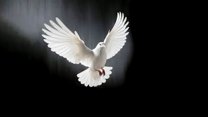 Vzdychy k Duchu Svätému