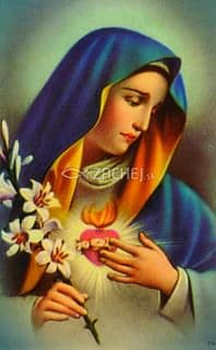Obrázok: Denné prosby k Matke Božej (Sedembolestná Panna Mária)