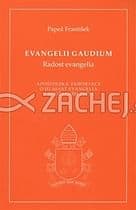 Evangelii gaudium (Radost evangelia)