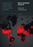E-kniha: Rok s pandemií covid-19