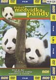 DVD - Příběh medvídka pandy