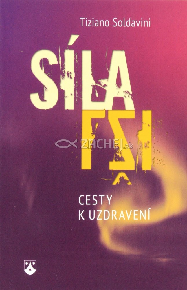 Síla lži - Cesty k uzdravení | Tiziano Soldavini | 5,82 € - obrázok Síla lži - Cesty k uzdravení