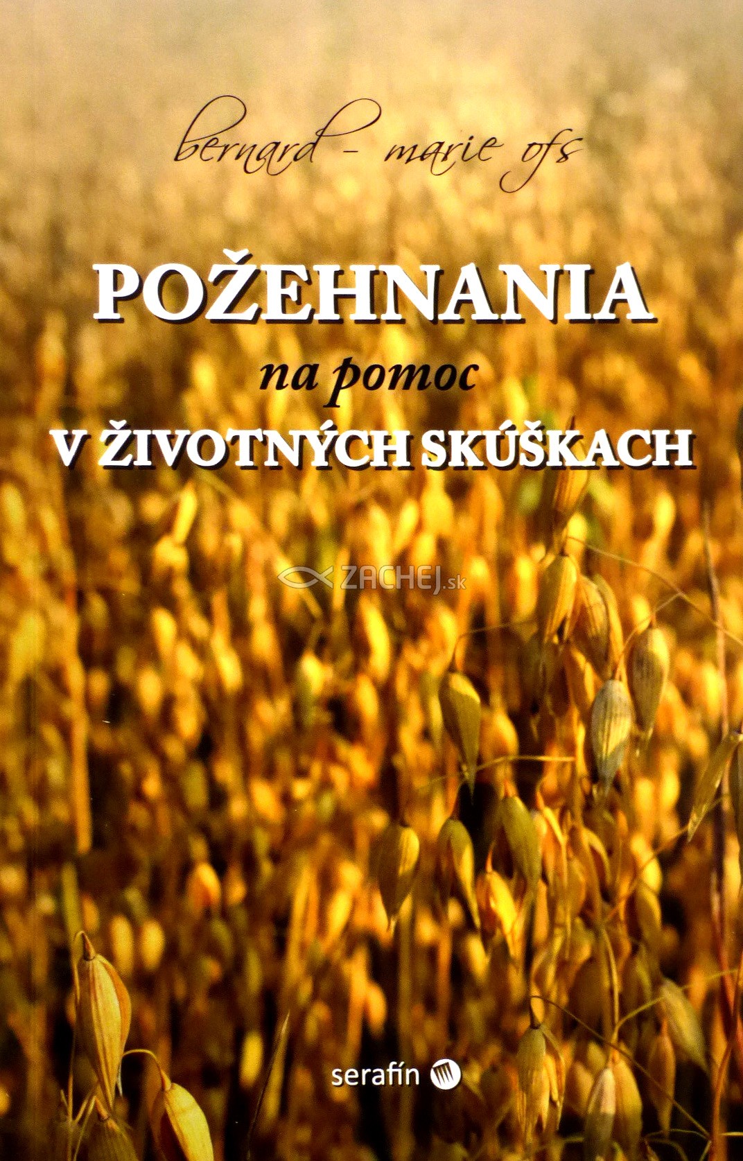 Požehnania na pomoc v životných skúškach | Bernard Marie | 3,88 € - obrázok Požehnania na pomoc v životných skúškach