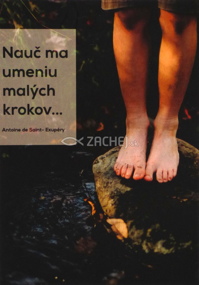 Obrázok: Nauč ma umeniu malých krokov... - s modlitbou, papierový | 0,10 € - obrázok Obrázok: Nauč ma umeniu malých krokov... - s modlitbou, papierový