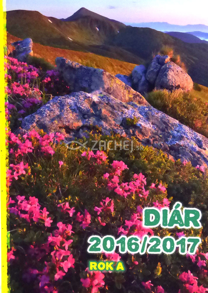 Diár 2016/2017 - Rok A | Jozef Jurko et al. | 9,60 € - obrázok Diár 2016/2017 - Rok A