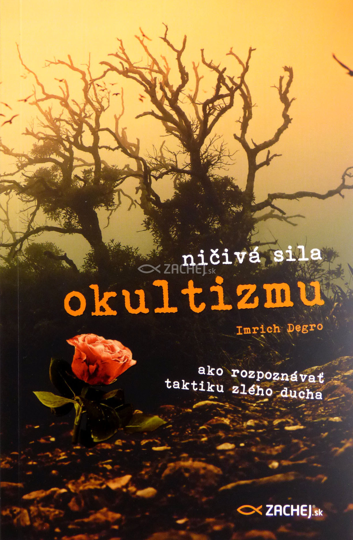 Ničivá sila okultizmu - Ako rozpoznávať taktiku zlého ducha | Imrich Degro | 5,19 € - obrázok Ničivá sila okultizmu - Ako rozpoznávať taktiku zlého ducha