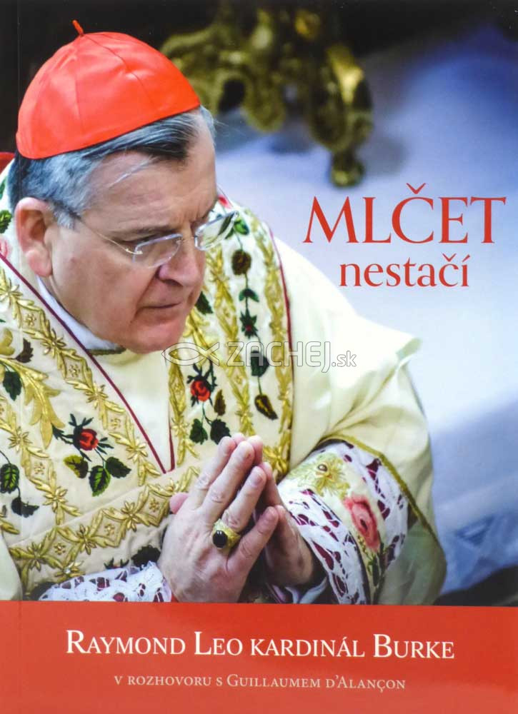 Mlčet nestačí | Guillaum d’Alançon | 5,63 € - obrázok Mlčet nestačí