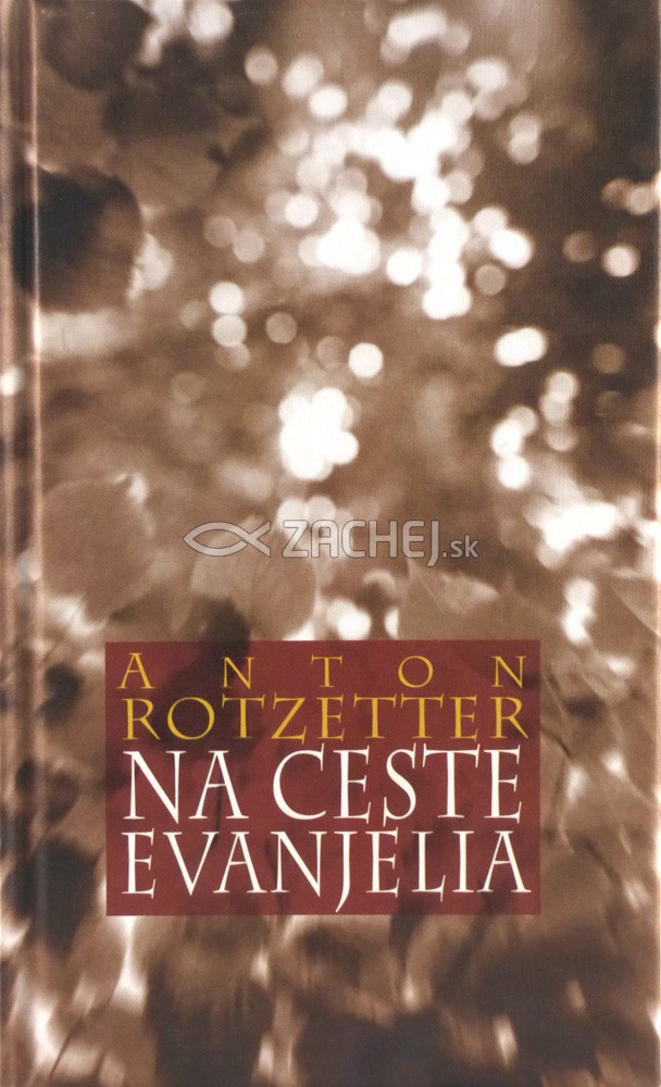 Na ceste evanjelia - životný príbeh, životný program, základná skúsenosť | Anton Rotzetter | 4,83 € - obrázok Na ceste evanjelia - životný príbeh, životný program, základná skúsenosť