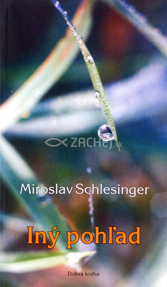 Iný pohľad | Miroslav Schlesinger | 2,73 € - obrázok Iný pohľad