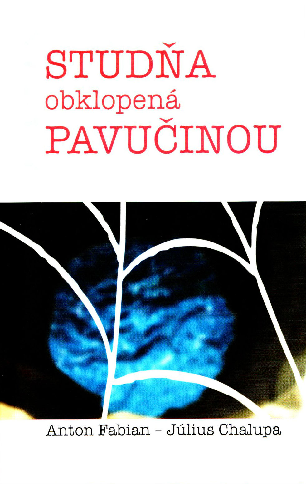 Studňa obklopená pavučinou (cyklus C) - Úvahy inšpirované evanjeliom | Anton Fabian Július Chalupa | 13,58 € - obrázok Studňa obklopená pavučinou (cyklus C) - Úvahy inšpirované evanjeliom
