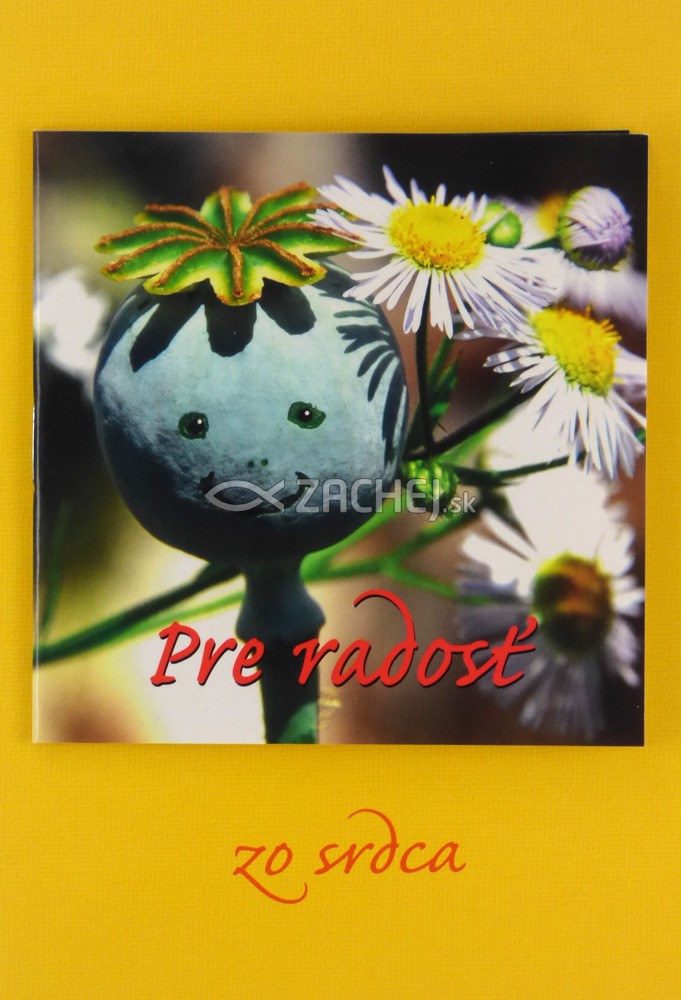 Pre radosť - zo srdca | Simon Baum | 1,46 € - obrázok Pre radosť - zo srdca