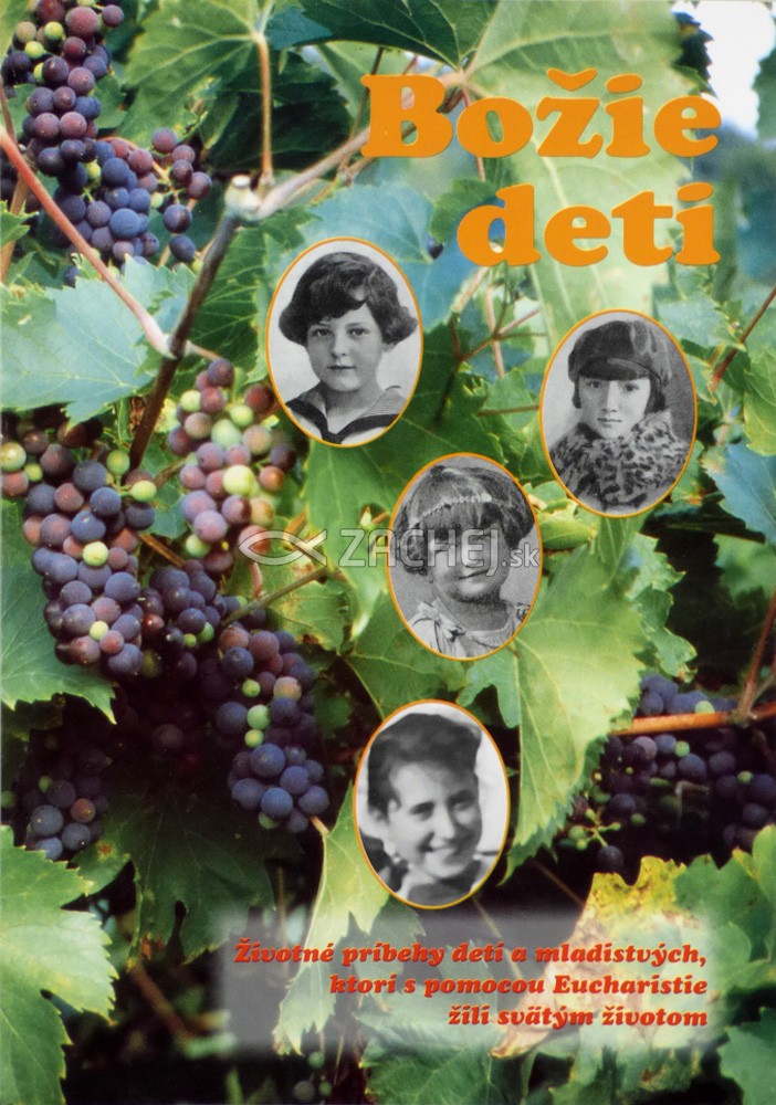 Božie deti 4. - Životopisy detí a mladistvých, ktorí pomocou Sv. Eucharistie viedli svätý život | 2,71 € - obrázok Božie deti 4. - Životopisy detí a mladistvých, ktorí pomocou Sv. Eucharistie viedli svätý život