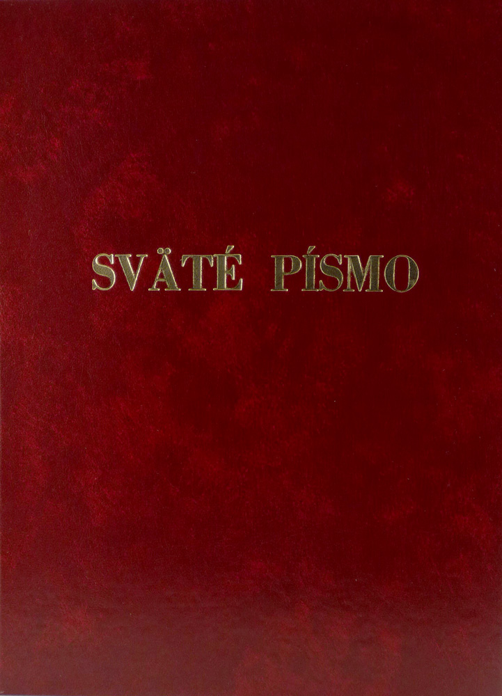 Sväté písmo pre každého - Evanjeliá | Anton Tyrol (ed.) | 15,90 € - obrázok Sväté písmo pre každého - Evanjeliá